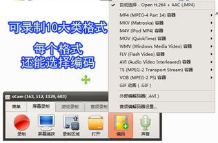 錄屏小將OCam 全能錄屏截圖錄音，專業(yè)攝影服務一應俱全